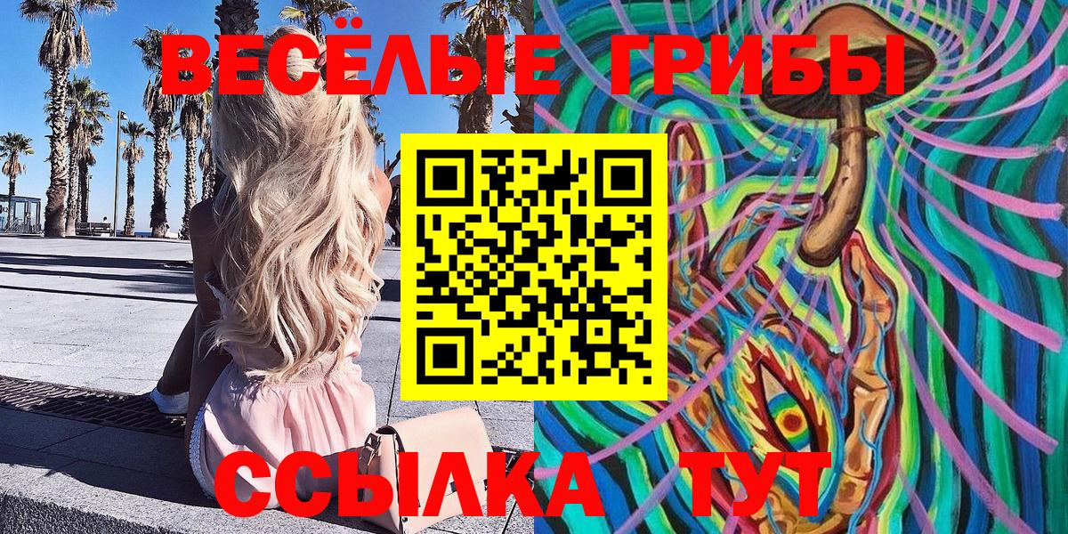 Псилоцибиновые грибы Magic Shrooms  Вход с VPN  Мариинск  Псилоцибиновые грибы Psilocybine cubensis 